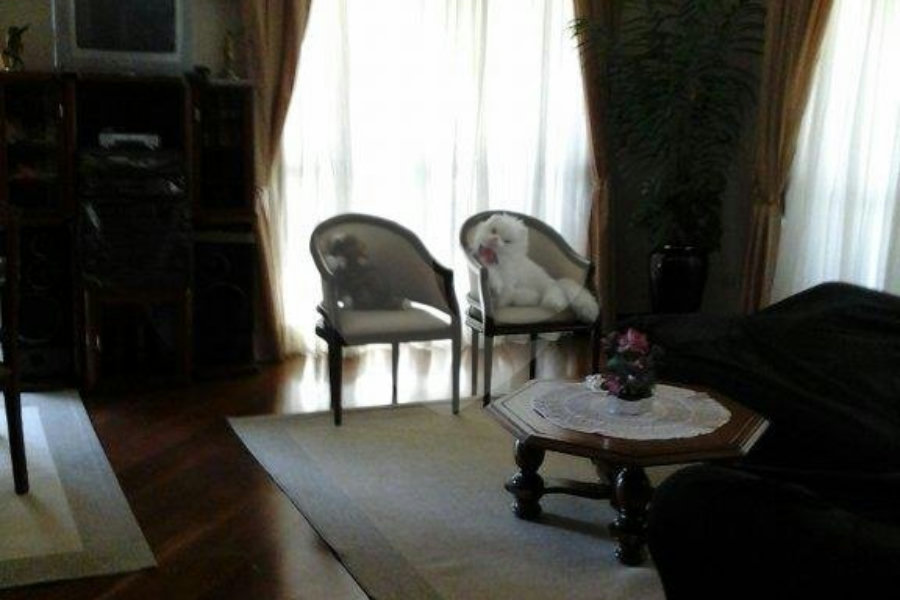 Apartamento à venda com 3 quartos, sendo 1 suíte, em Santana, São Paulo, SP