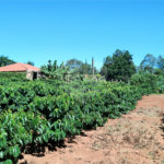 Chácara à venda em Campo Grande, Pilar do Sul, SP