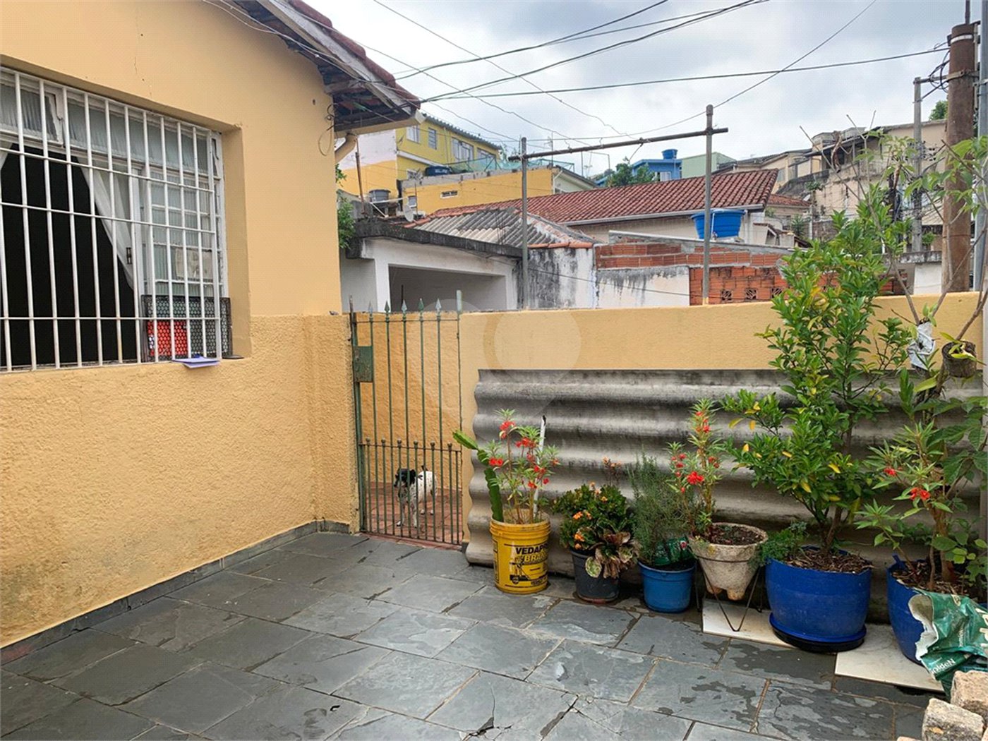 Casa à venda com 1 suíte em Vila Nova Cachoeirinha, São Paulo, SP