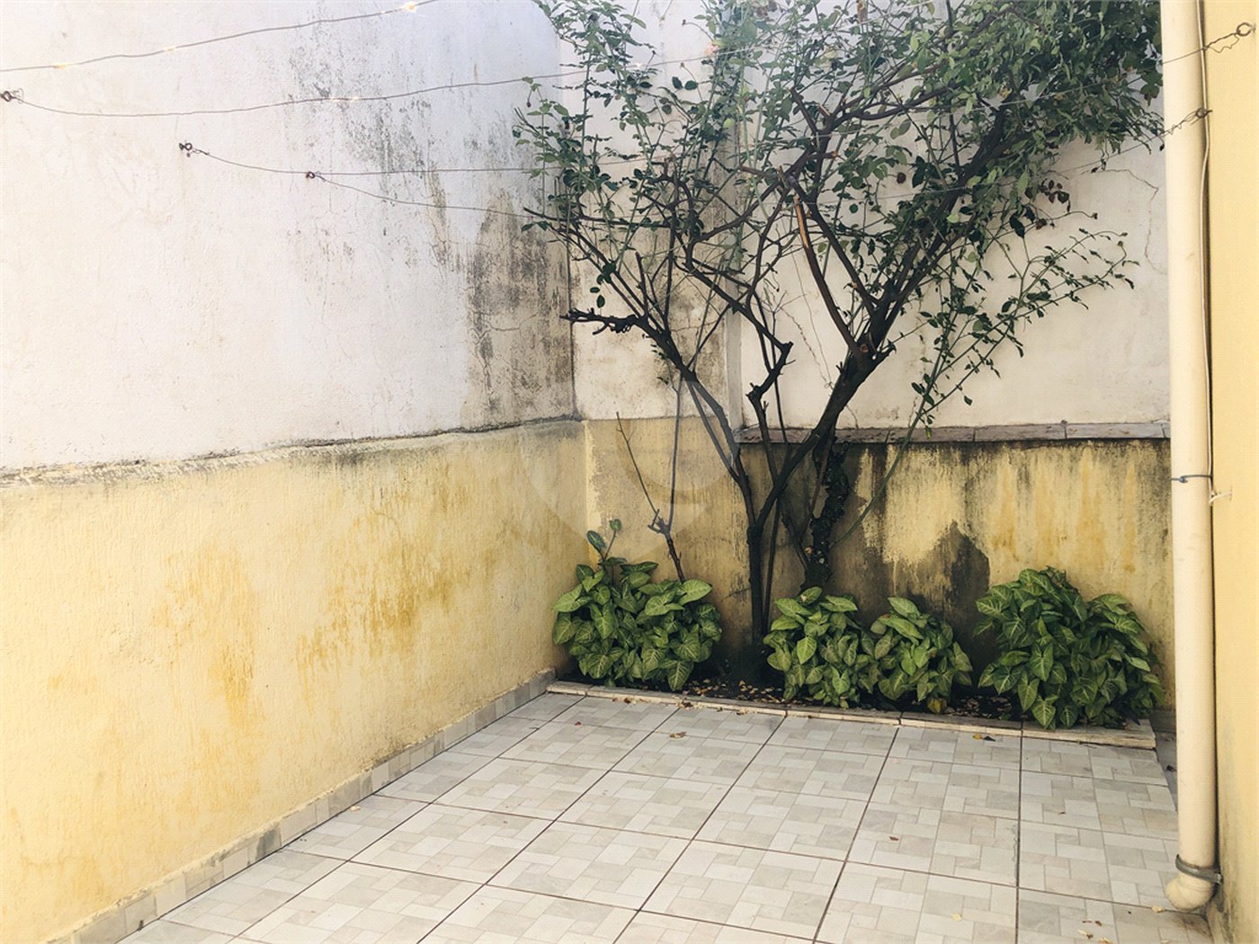 Casa à venda com 3 quartos, sendo 1 suíte,  em Jaçanã, São Paulo, SP