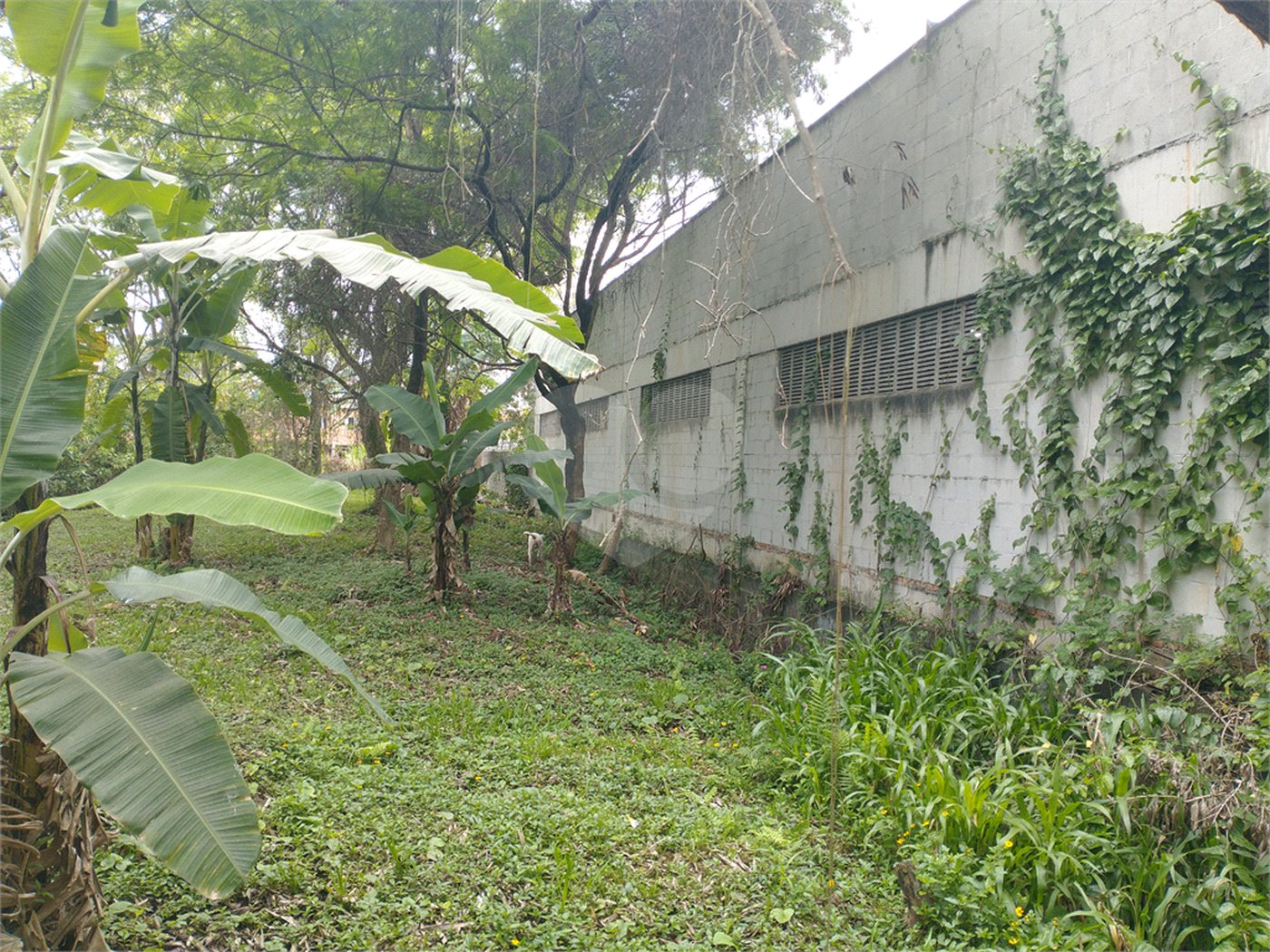 Terreno à venda em Jardim Bela Vista, Guarulhos, SP