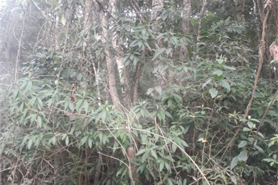 Terreno à venda em Suasalito, Mairiporã, SP