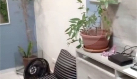 Apartamento à venda com 1 quarto em Campos Elíseos, São Paulo, SP