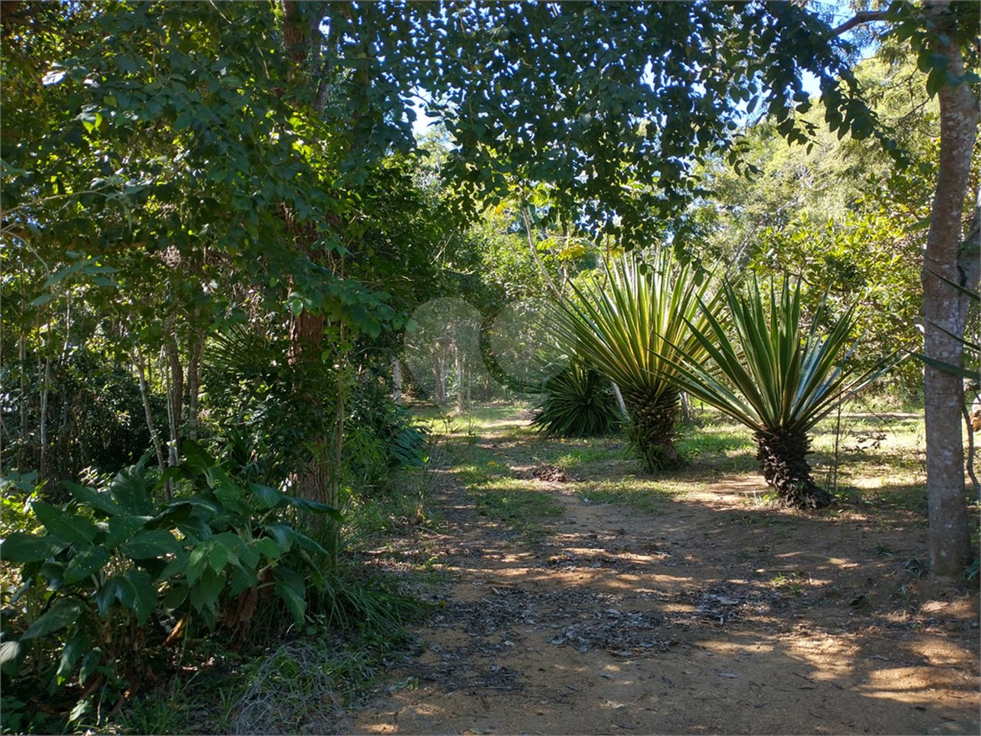 Terreno à venda em Vila Verde, Armação dos Búzios, RJ