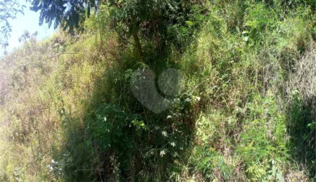 Terreno à venda em Vila São Paulo, Mogi das Cruzes, SP