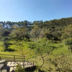 Terreno à venda no condomínio Fazenda Alta Vista, Salto de Pirapora - SP