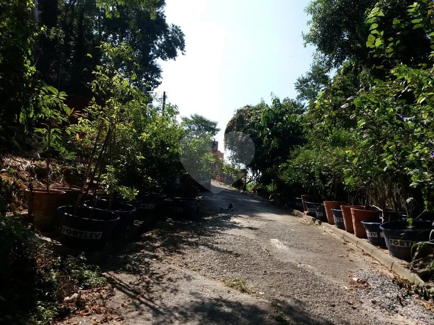 Terreno à venda em Tucuruvi, São Paulo, SP