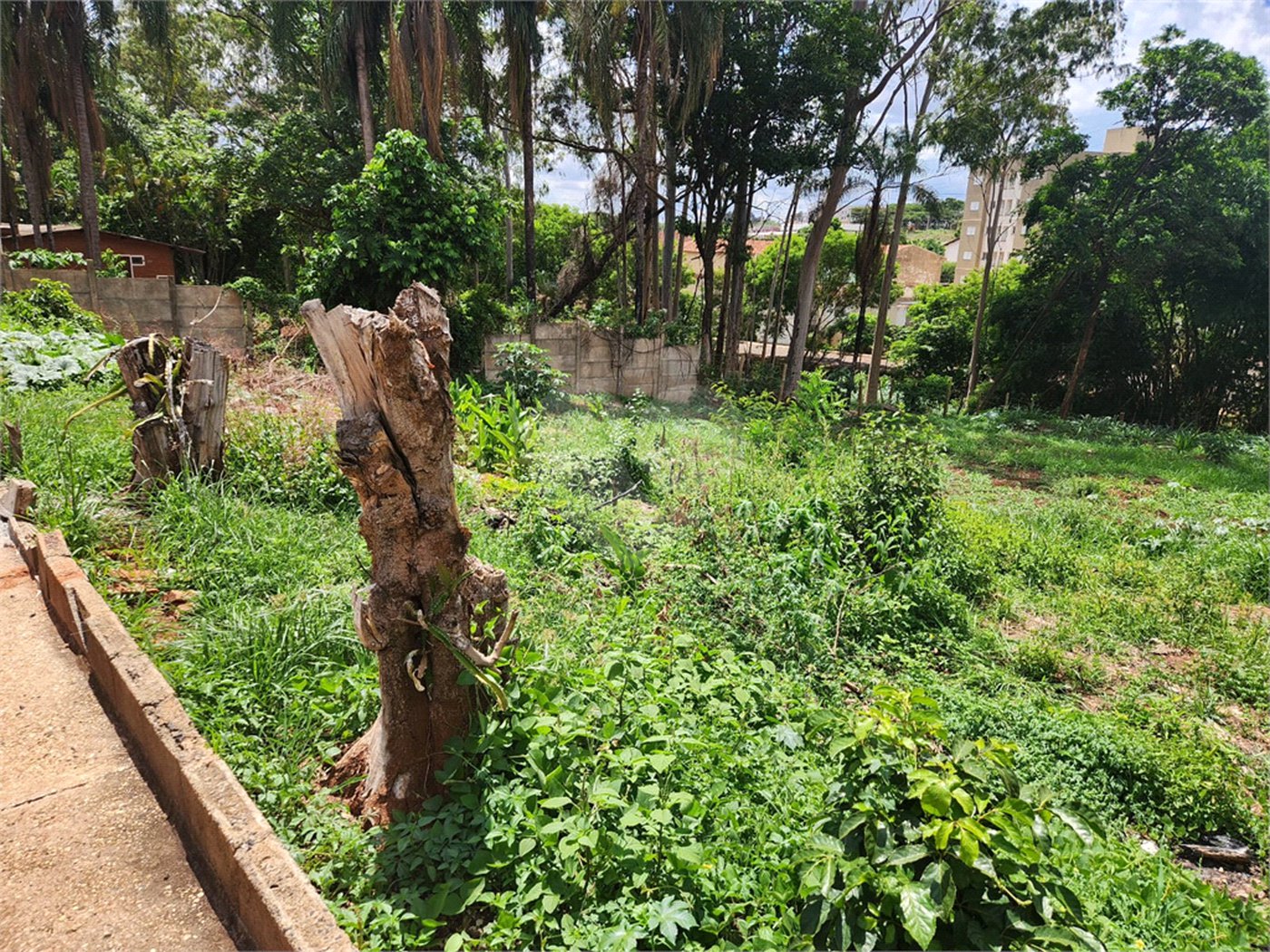 Terreno à venda em Jardim do Carmo, Araraquara, SP