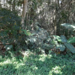 Terreno à venda em Roseira, Mairiporã, SP
