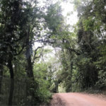Terreno à venda em Serra da Cantareira, Mairiporã, SP
