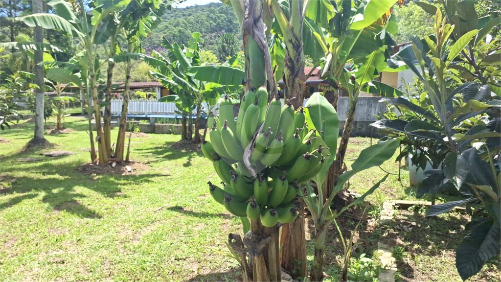 Chácara à venda com 4 quartos, sendo 1 suíte, em Taiaçupeba, Mogi das Cruzes, SP