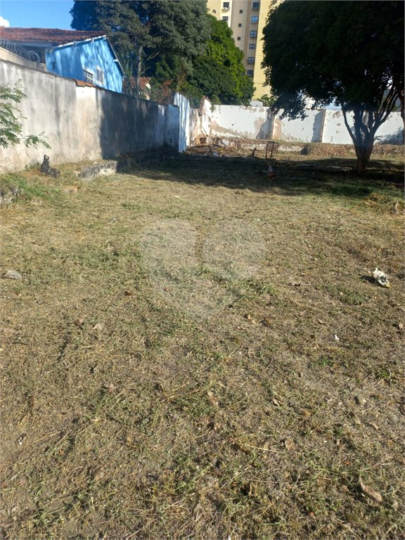 Terreno 784m² proximo à Santa Casa e a USP - Investimento