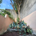 Sobrado à venda com 2 quartos em Freguesia do Ó, São Paulo, SP