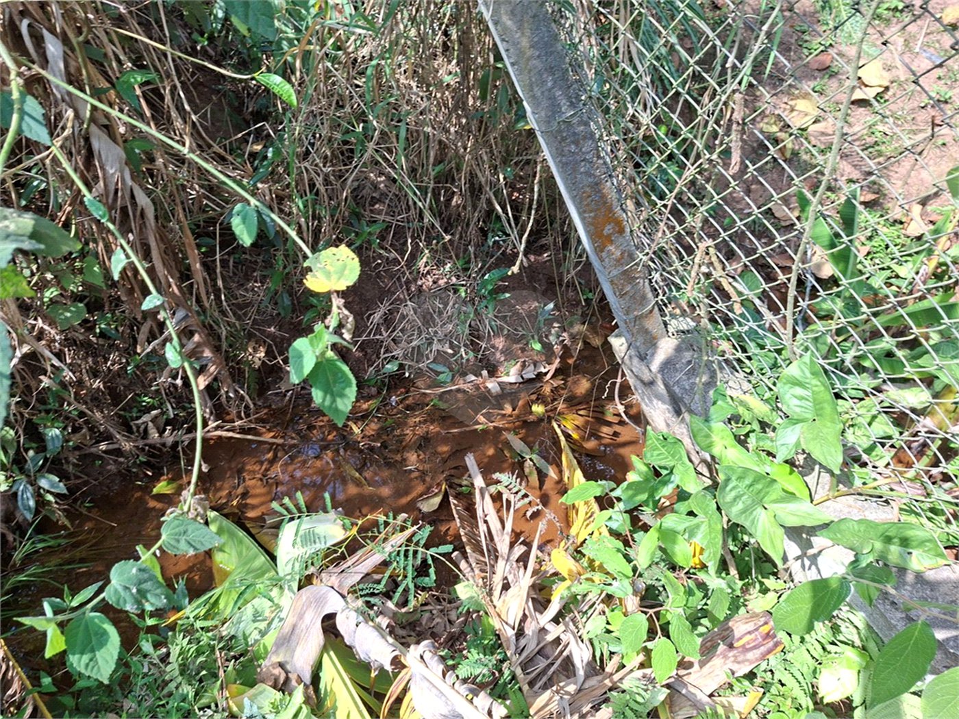 Terreno à venda em Chácara Fernão Dias, Bragança Paulista, SP