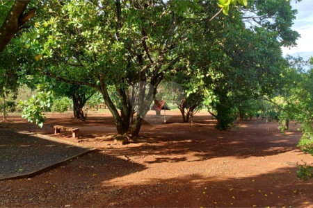 Chácara à venda com 1 quarto no Centro, Araraquara, SP