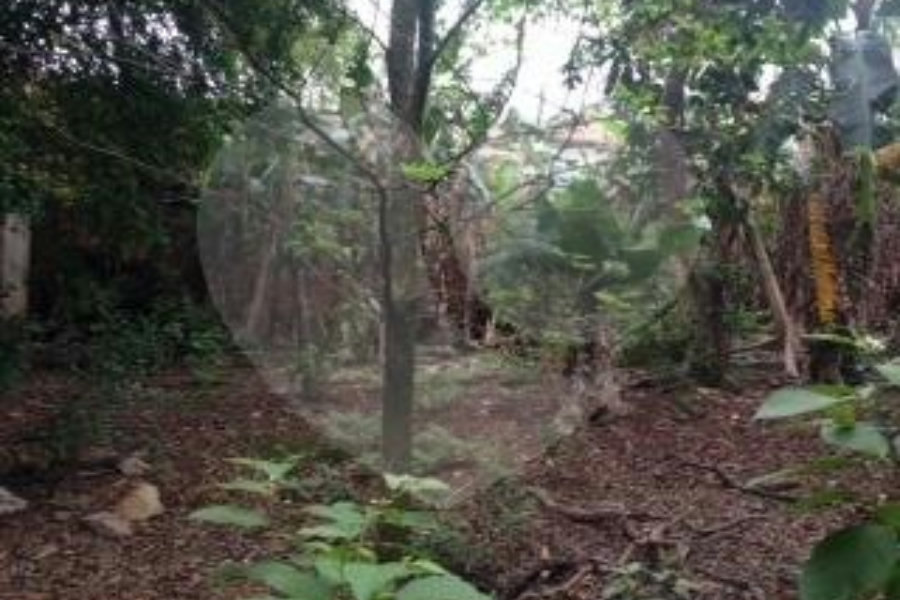 Terreno à venda em Casa Verde, São Paulo, SP