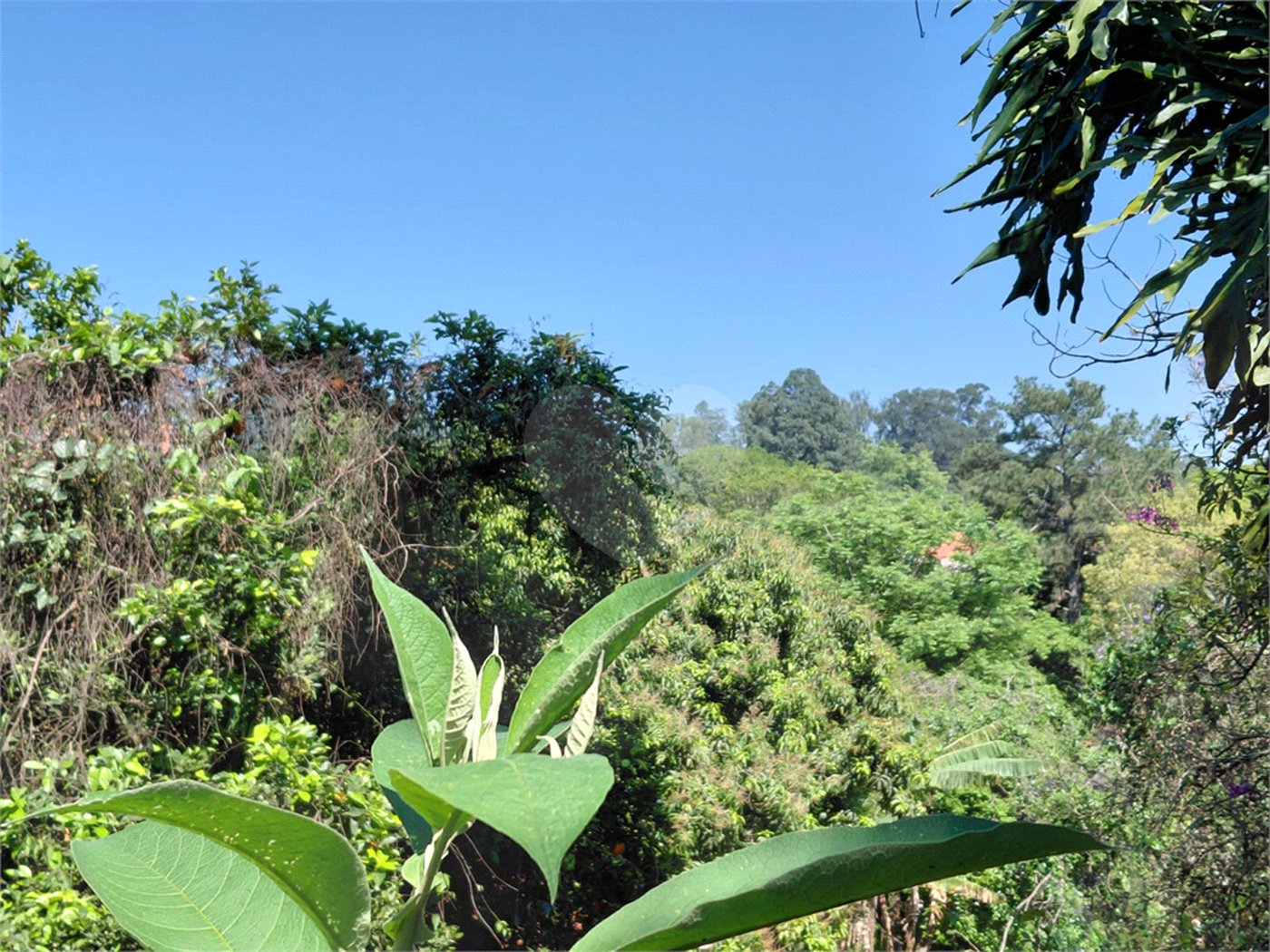Terreno à venda em Horto Florestal, São Paulo, SP