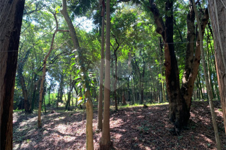 Terreno à venda no condomínio Chácara Flora, São Paulo - SP