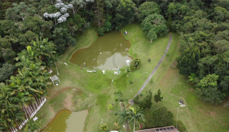 Sítio à venda com 5 quartos, sendo 1 suíte,  em Ouro Fino, Santa Isabel, SP