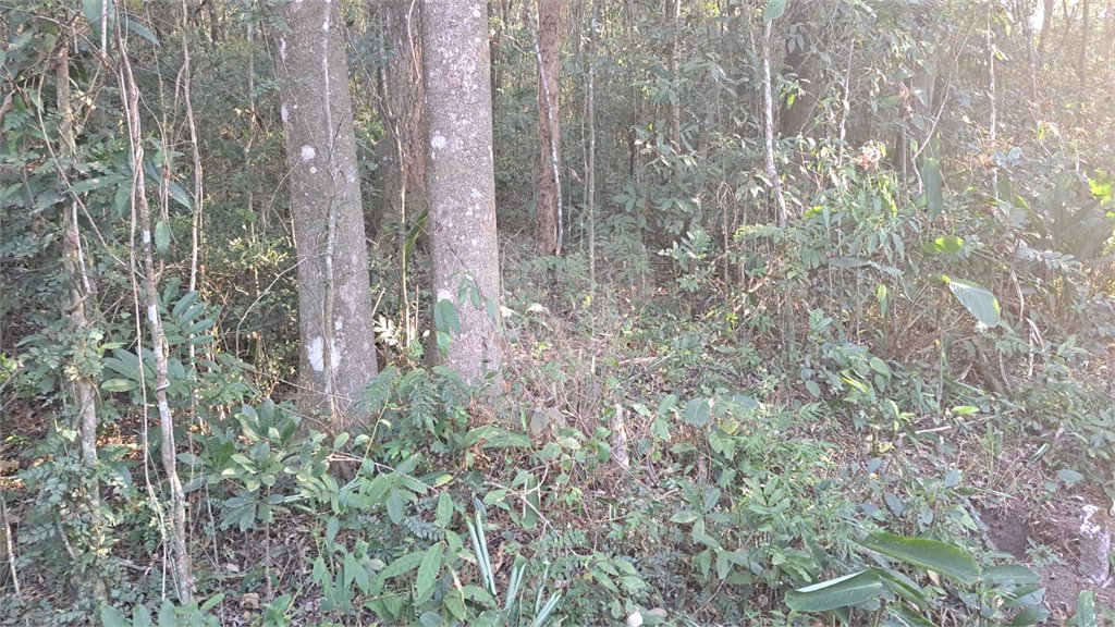 Terreno à venda em Serra da Cantareira, Mairiporã, SP