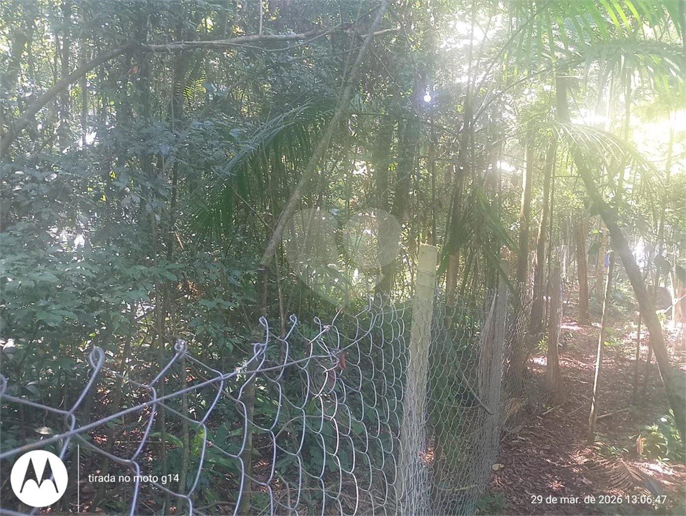 Terreno à venda em Dos Finco, São Bernardo do Campo, SP