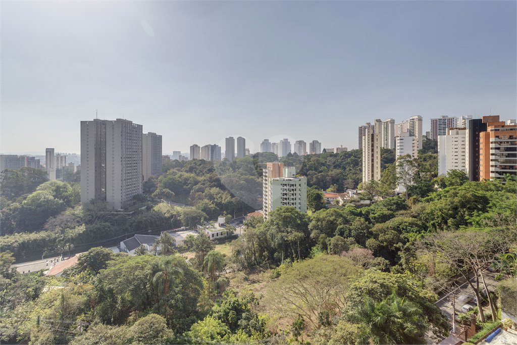 Apartamento à venda com 3 quartos, sendo 1 suíte, em Morumbi, São Paulo, SP