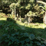 Chácara à venda com 8 quartos em Parque Piratininga, Itaquaquecetuba, SP