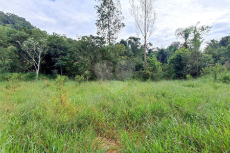 Terreno à venda em Residencial Reserva da Mata, Itapetininga, SP