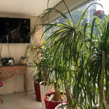 Apartamento à venda com 3 suítes em Lar São Paulo, São Paulo, SP