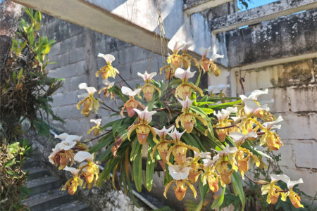 Chácara à venda com 1 suíte em Jardim Estância Brasil, Atibaia, SP