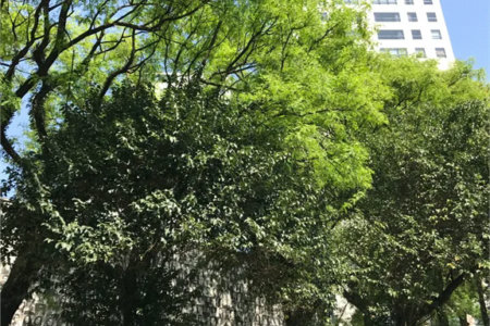 Apartamento para alugar com 1 suíte em Vila Leopoldina, São Paulo, SP