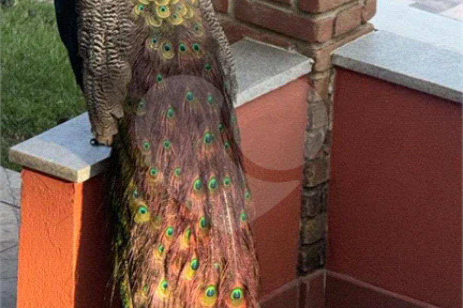 Linda Casa Em Condomínio Fechado Itapecerica da Serra