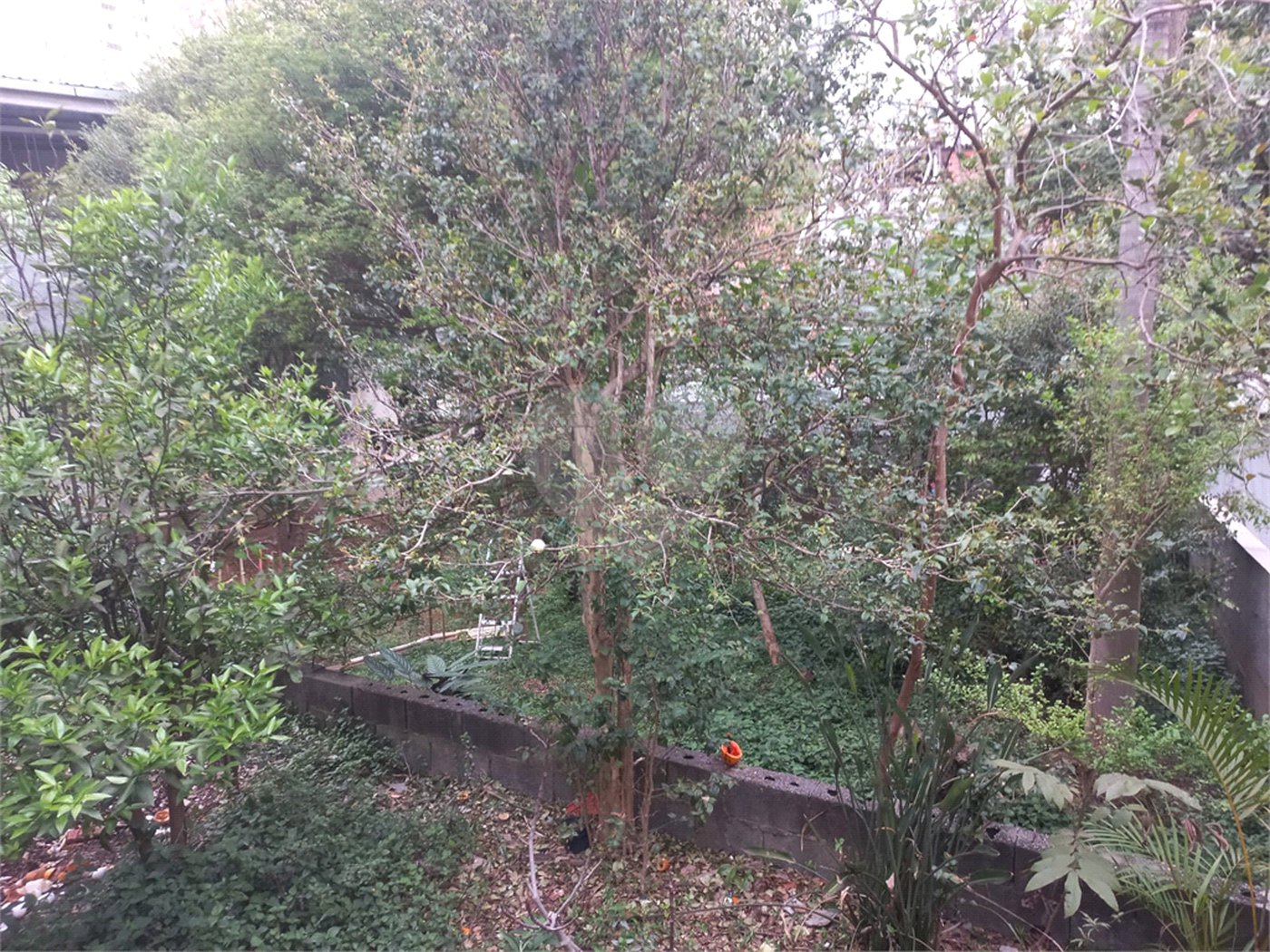 Terreno à venda em Santana, São Paulo, SP