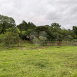 Sítio à venda com 3 quartos, sendo 2 suítes,  em Cachoeira, Atibaia, SP