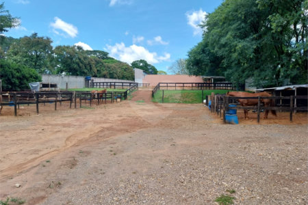 Terreno à venda em Parque das Bandeiras 2, Indaiatuba, SP