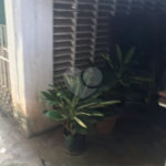 Sobrado à venda com 5 quartos, sendo 1 suíte, em Jardim São Bento, São Paulo, SP
