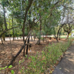 Casa à venda com 3 suítes no condomínio Vila do Bosque, Sorocaba - SP