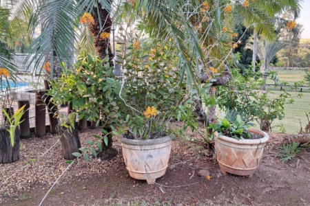 Rancho com 12 dormitórios à venda, 63000 m² por R$ 7.500.000,00 - Condomínio Haras Paineiras - Salto/SP