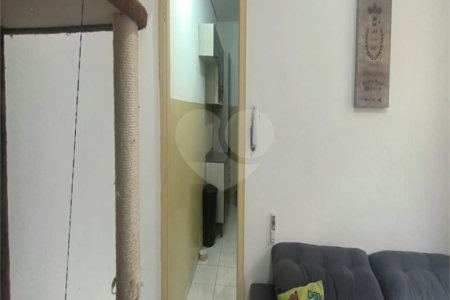 Casa Térrea à venda com 5 quartos, sendo 1 suíte, em Chora Menino, São Paulo, SP