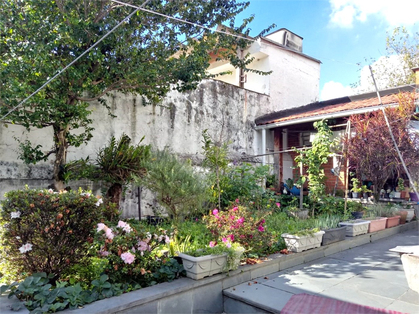 Casa Térrea à venda com 3 quartos, sendo 1 suíte, em Vila Paulicéia, São Paulo, SP