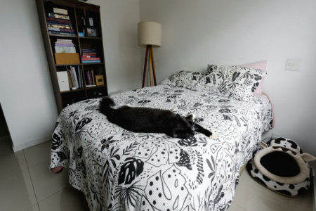 Apartamento à venda com 2 quartos, sendo 1 suíte,  em Pinheiros, São Paulo, SP