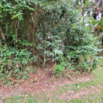 Terreno à venda em Serra da Cantareira, Mairiporã, SP