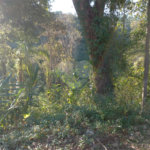 Terreno à venda no condomínio Cinco Lagos, Mairiporã - SP