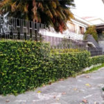 Casa Térrea à venda com 3 quartos, sendo 1 suíte, em Tucuruvi, São Paulo, SP