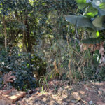 Terreno à venda no condomínio Residencial Bosque da Serra, Mairiporã - SP