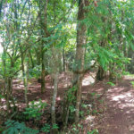 Sítio à venda no Centro, Monte Sião, MG