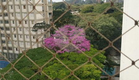 Apartamento à venda com 2 quartos em Alto da Boa Vista, São Paulo, SP