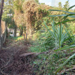 Terreno à venda em Vila Tramontano, São Paulo, SP