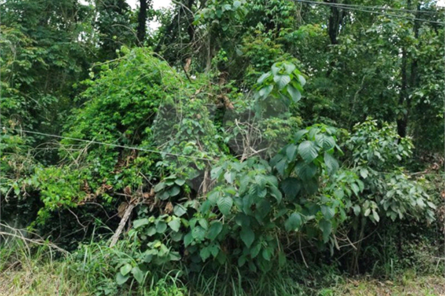 Terreno à venda em Serra da Cantareira, Mairiporã, SP