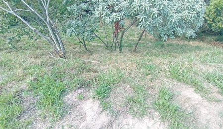 Terreno à venda em Observatório, Vinhedo, SP